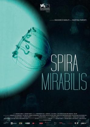 Filmbeschreibung zu Spira Mirabilis
