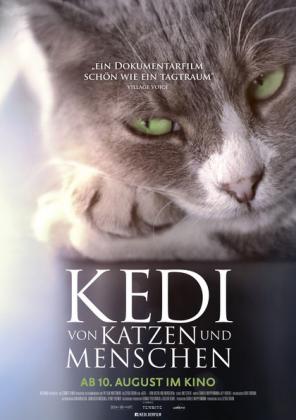 Filmbeschreibung zu Kedi - Von Katzen und Menschen