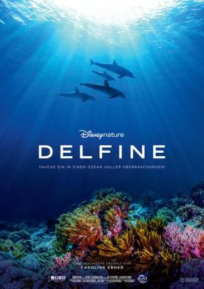Filmbeschreibung zu Delfine