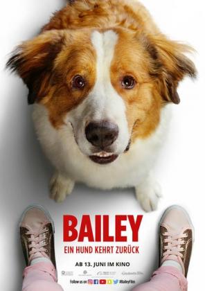 Filmbeschreibung zu Bailey - Ein Hund kehrt zurück