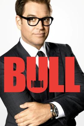 Bull - Staffel 4, Teil 2