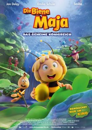 Filmbeschreibung zu Die Biene Maja - Das geheime Königreich