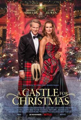 Filmbeschreibung zu A Castle for Christmas