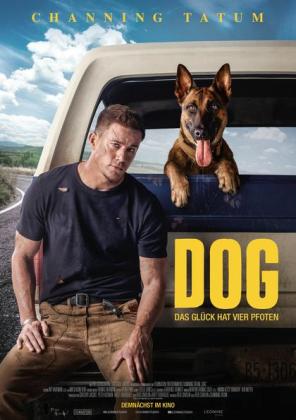 Filmbeschreibung zu Ü 50: Dog - Das Glück hat vier Pfoten