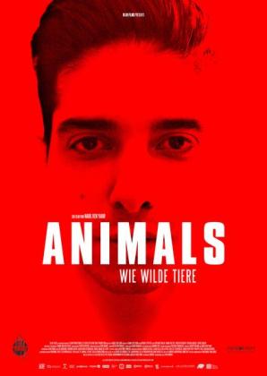 Filmbeschreibung zu Animals (OV)