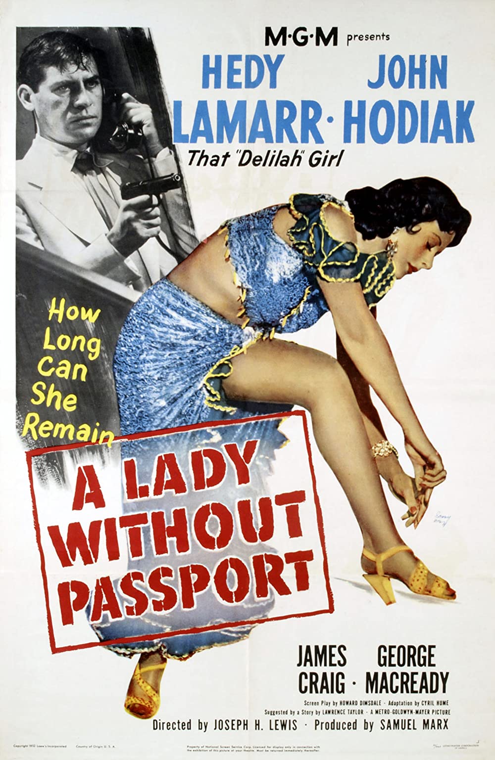 Filmbeschreibung zu A Lady Without Passport (OV)
