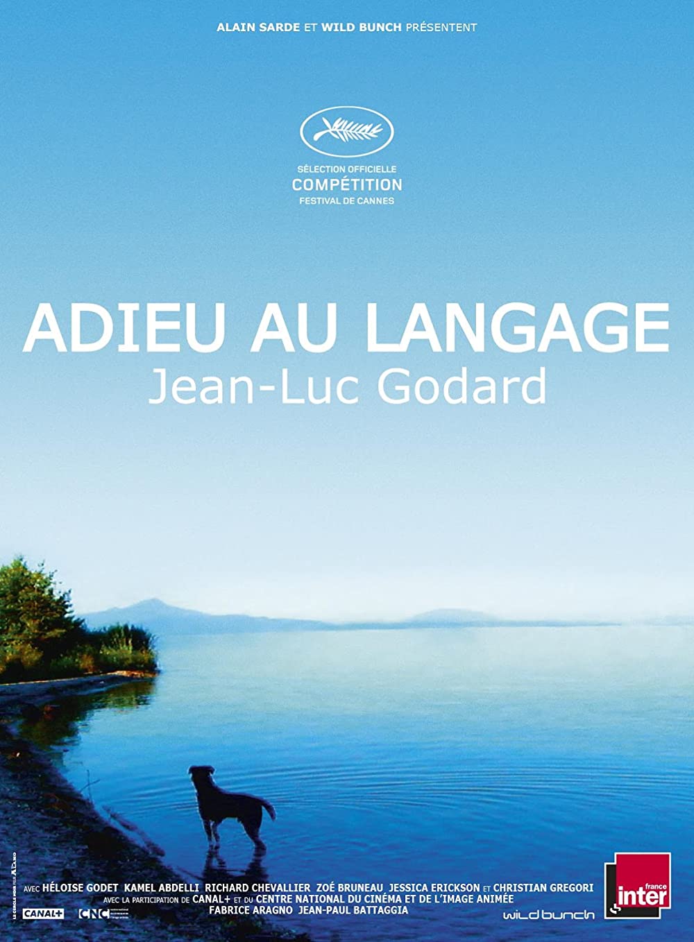 Filmbeschreibung zu Adieu au langage 3D