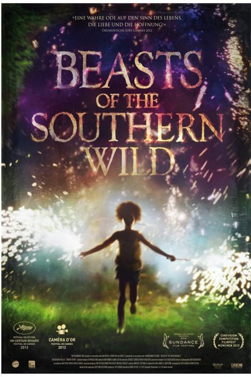 Filmbeschreibung zu Beasts of the Southern Wild