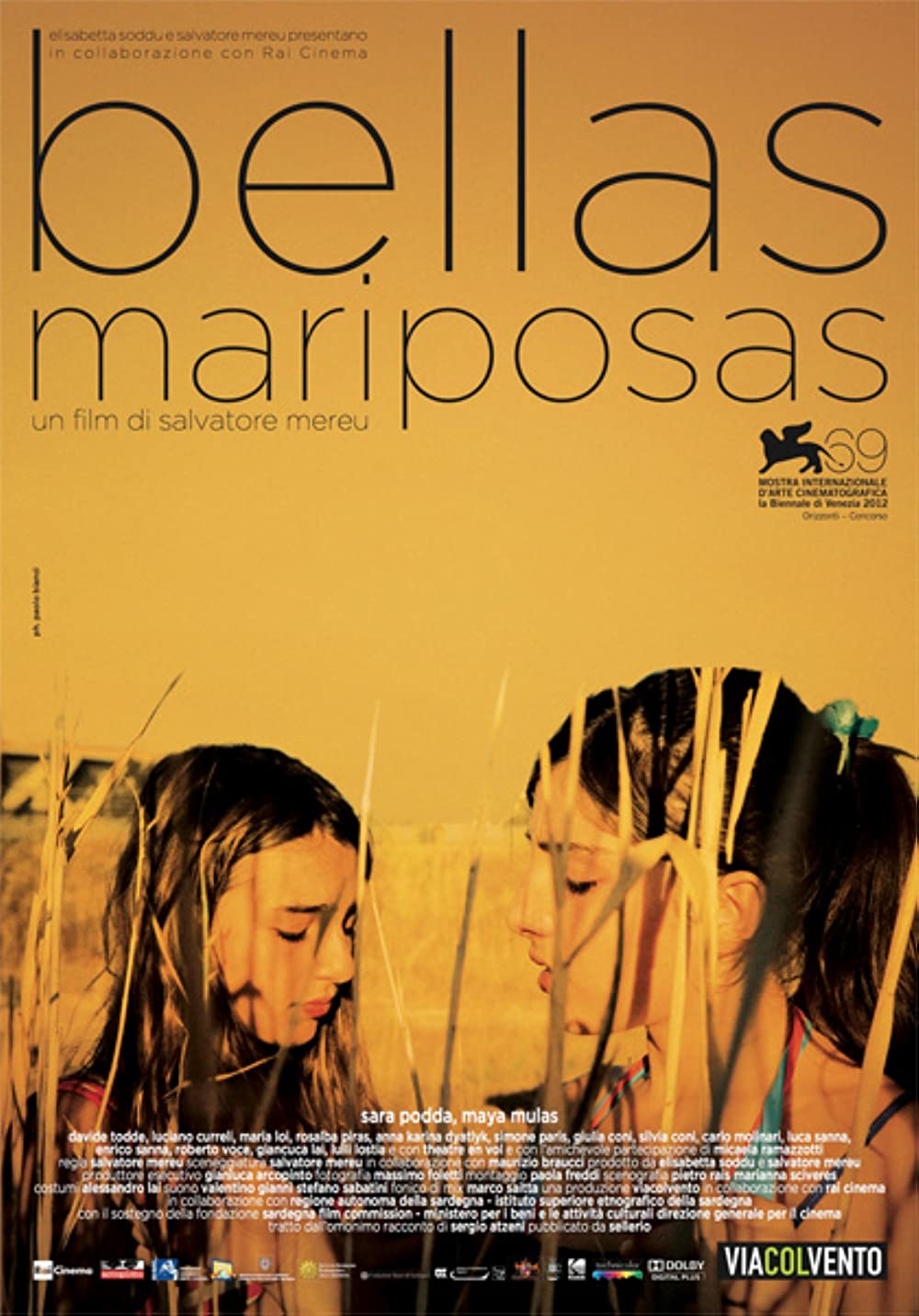 Filmbeschreibung zu Bellas mariposas