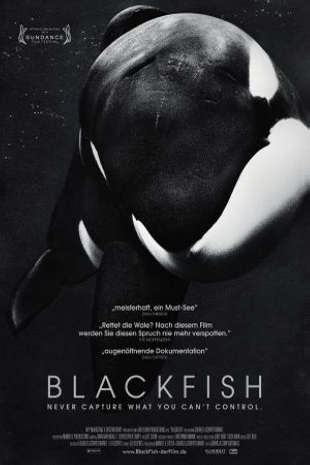 Filmbeschreibung zu Blackfish (OV)