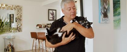 Cat Daddies - Freunde für sieben Leben