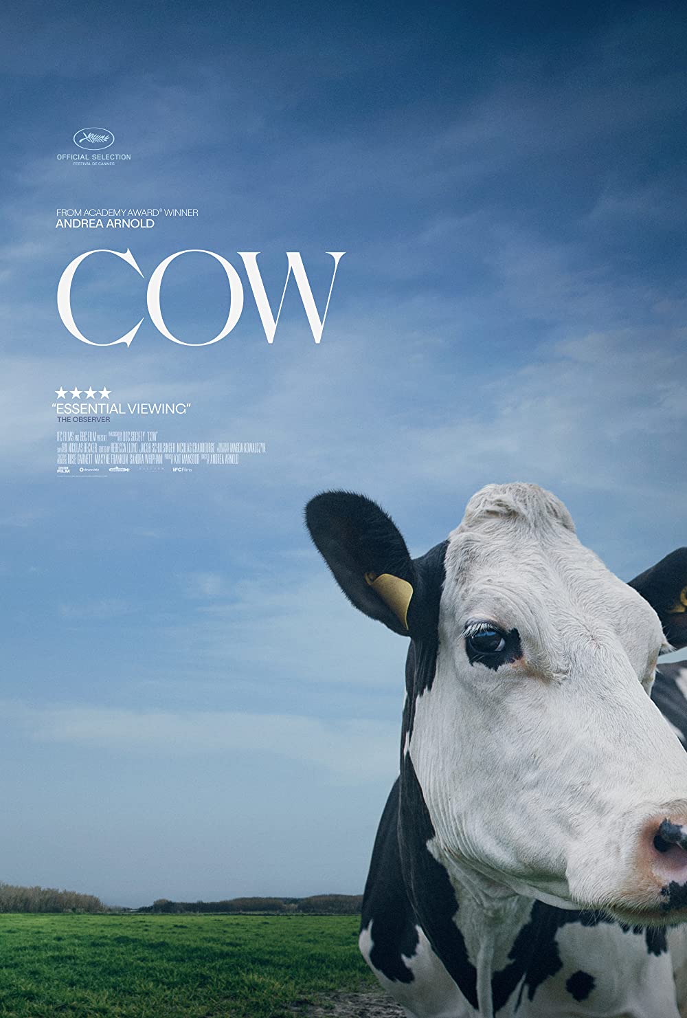 Filmbeschreibung zu Cow