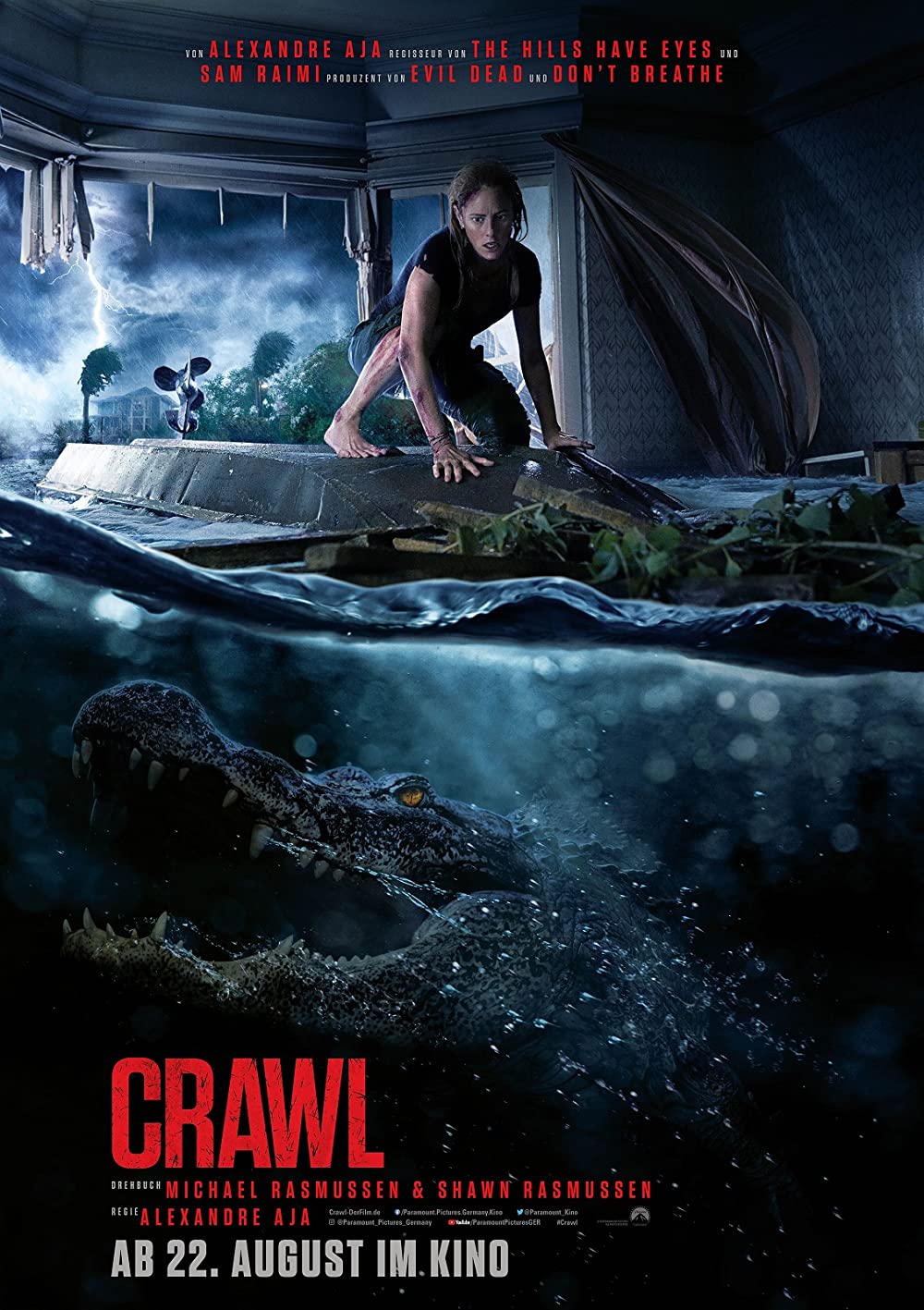 Filmbeschreibung zu Crawl