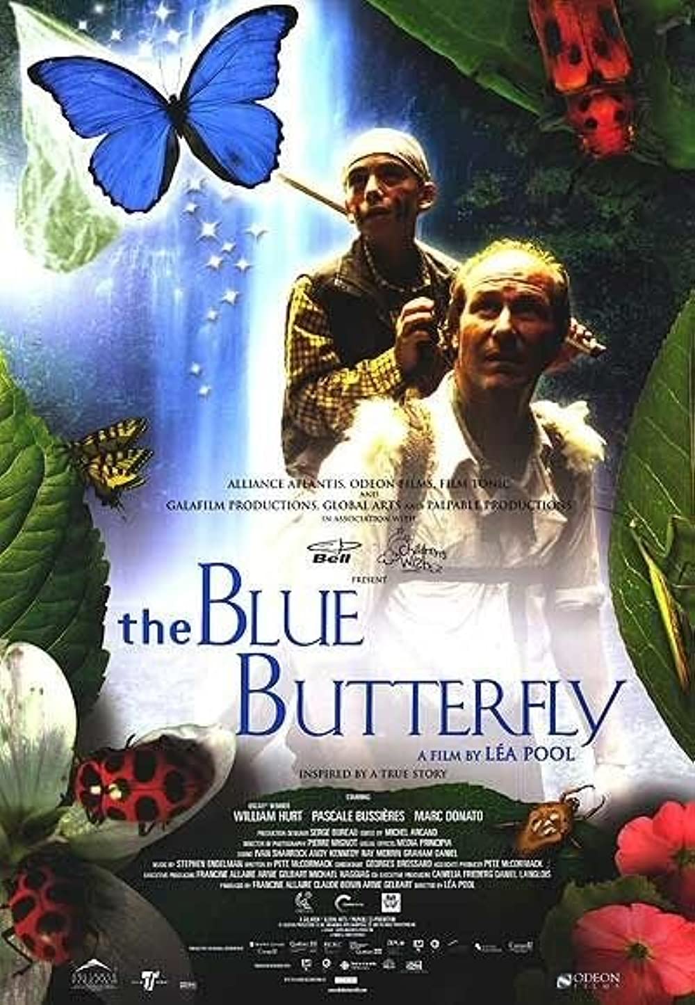Das Geheimnis des blauen Schmetterlings