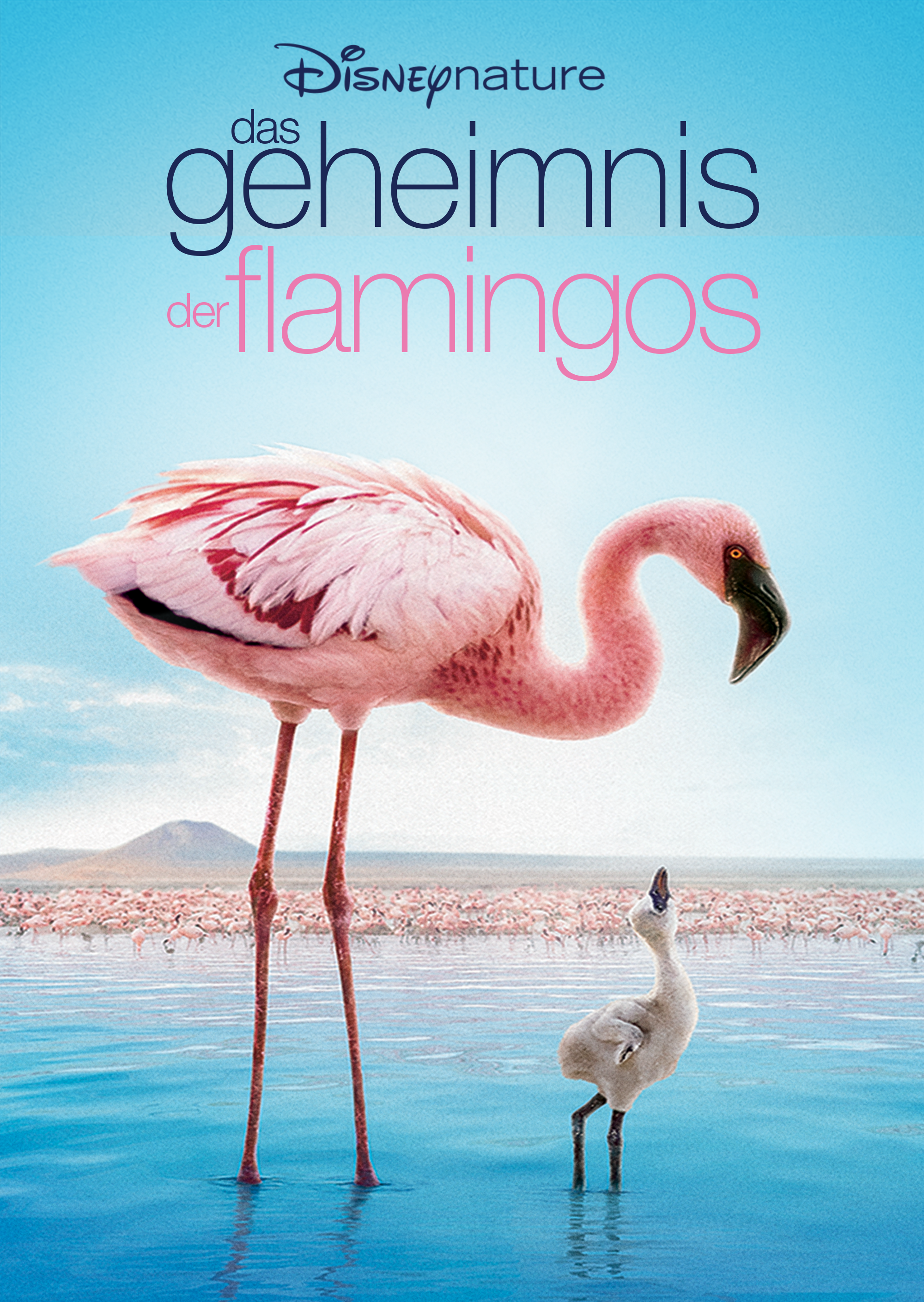 The Crimson Wing: Mystery of the Flamingos 2008