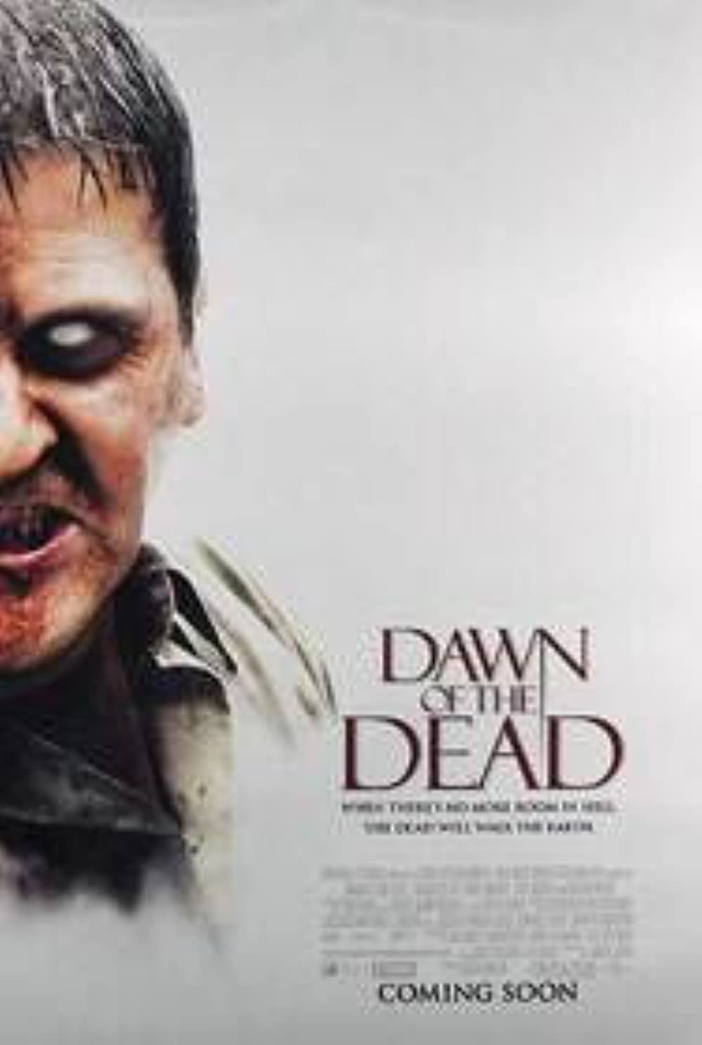 Filmbeschreibung zu Dawn of the Dead (OV)