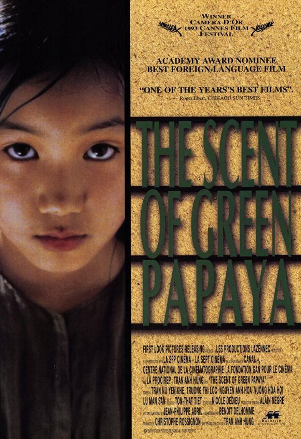 Filmbeschreibung zu Der Duft der grünen Papaya