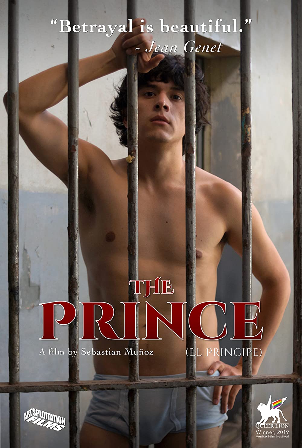 Filmbeschreibung zu Der Prinz