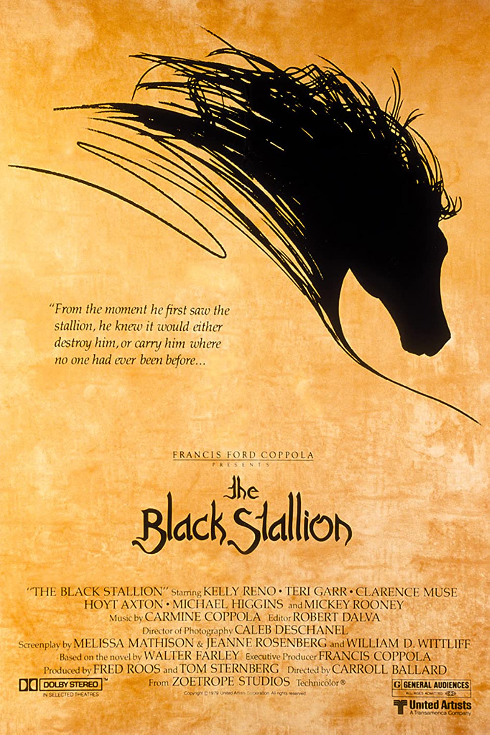 Filmbeschreibung zu The Black Stallion