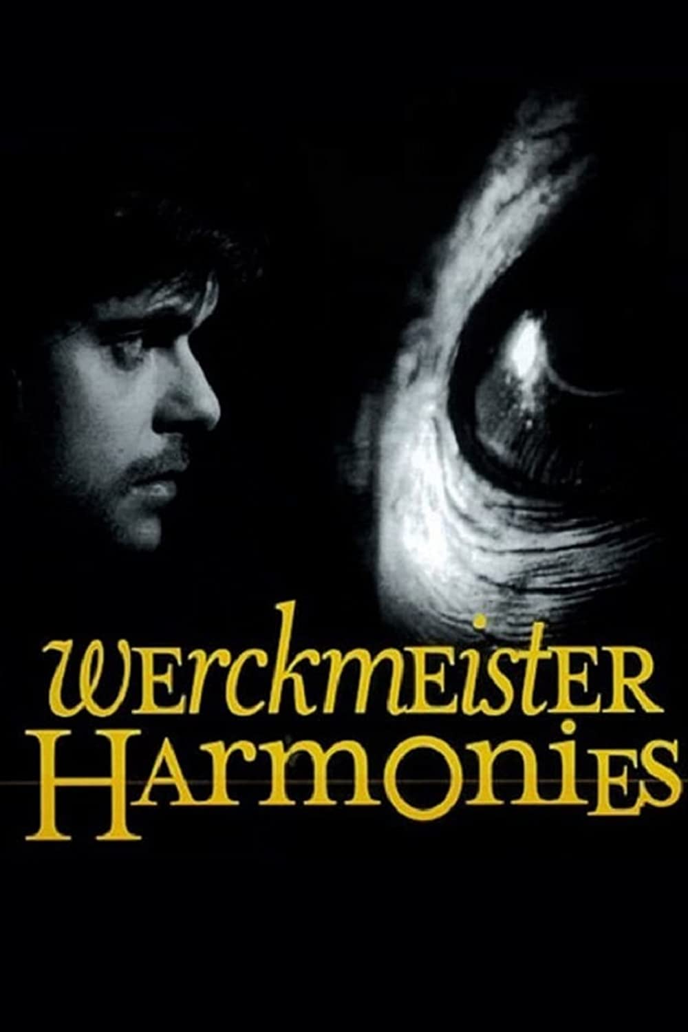 Filmbeschreibung zu Werckmeister harmóniák