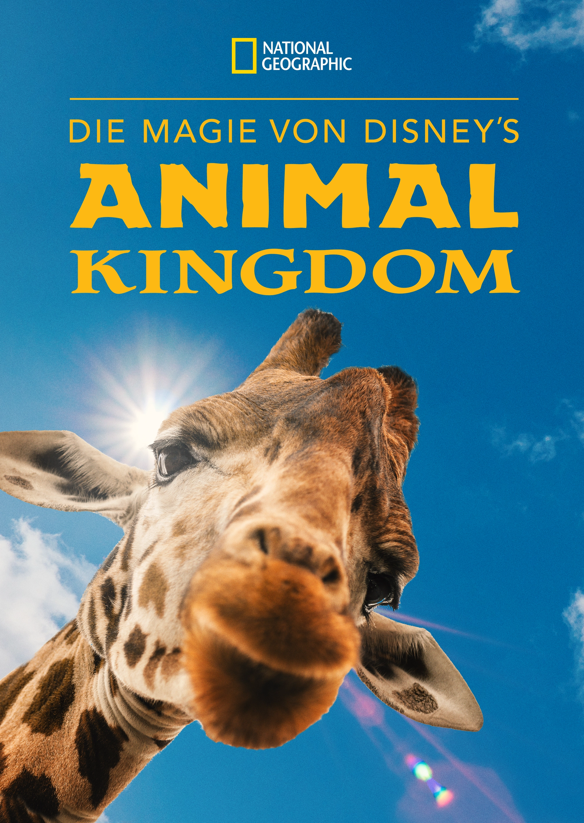 Die Magie von Disneys Animal Kingdom