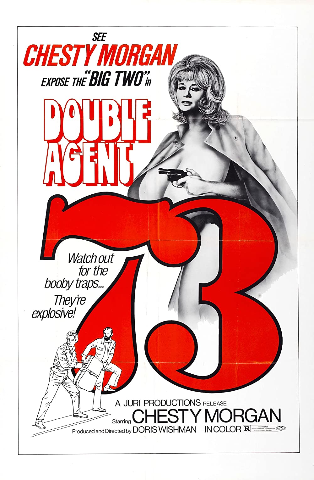 Filmbeschreibung zu Double Agent 73
