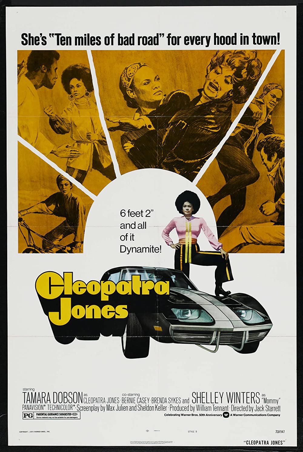 Filmbeschreibung zu Ein Fall für Cleopatra Jones