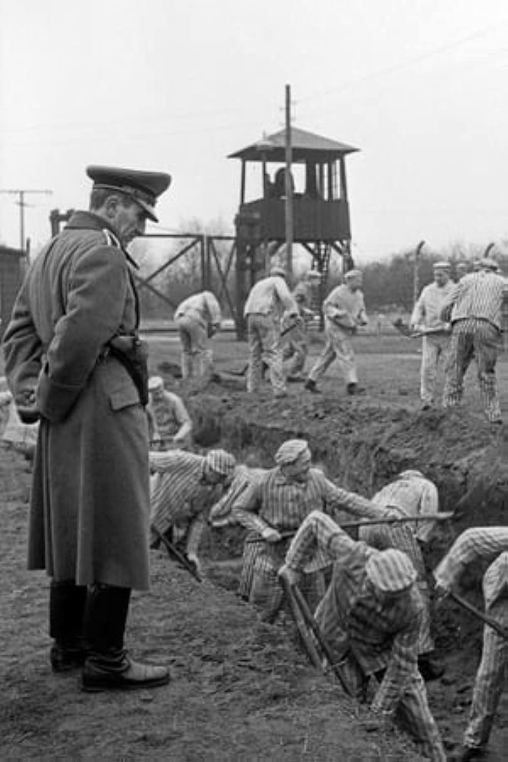 Filmbeschreibung zu Ein Tag - Bericht aus einem deutschen Konzentrationslager 1939