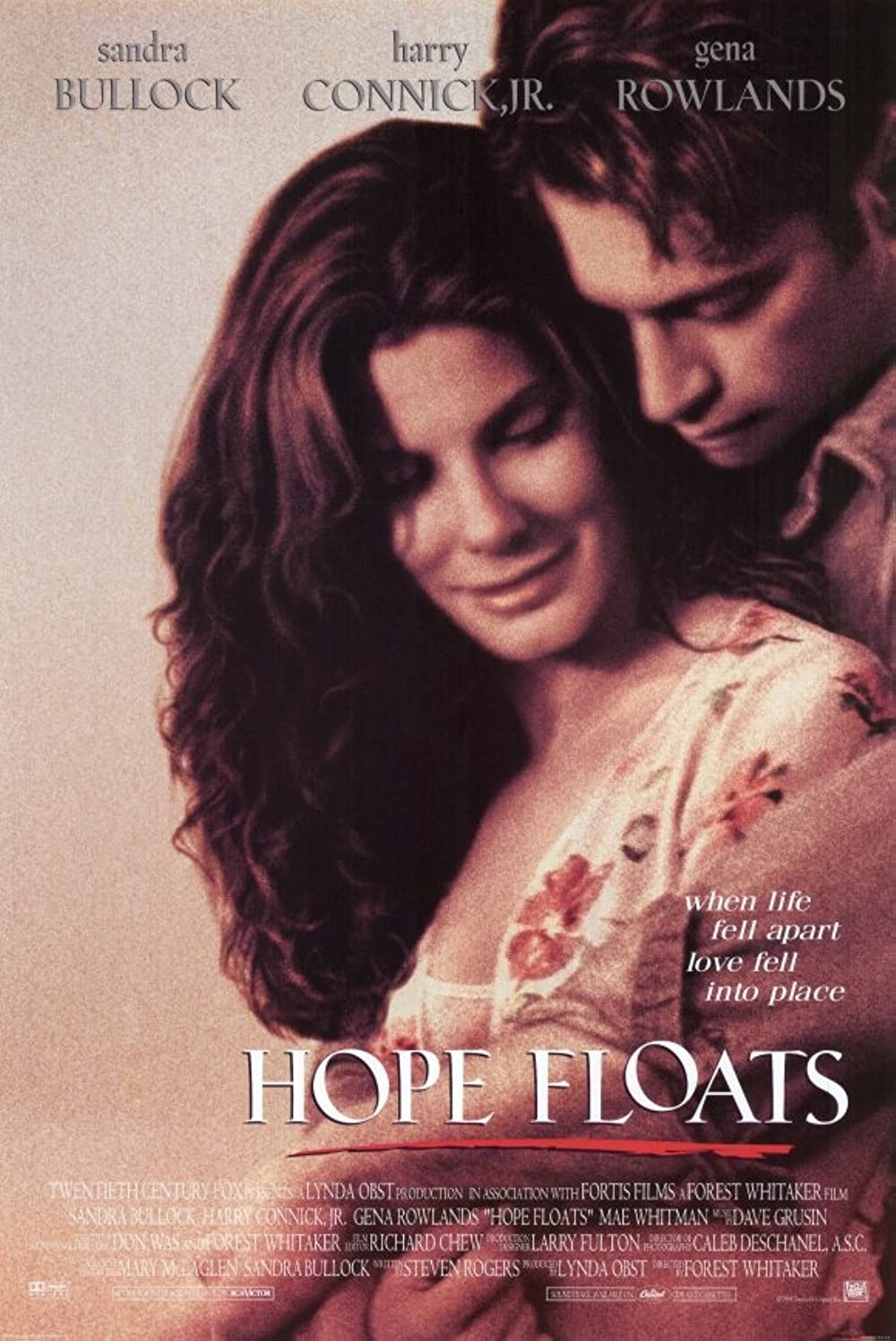 Filmbeschreibung zu Hope Floats