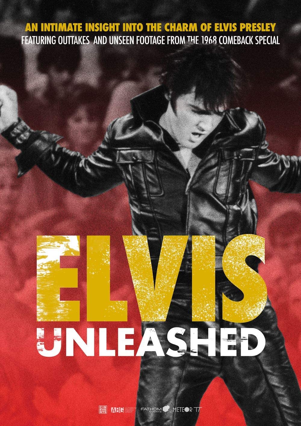 Filmbeschreibung zu Elvis unleashed