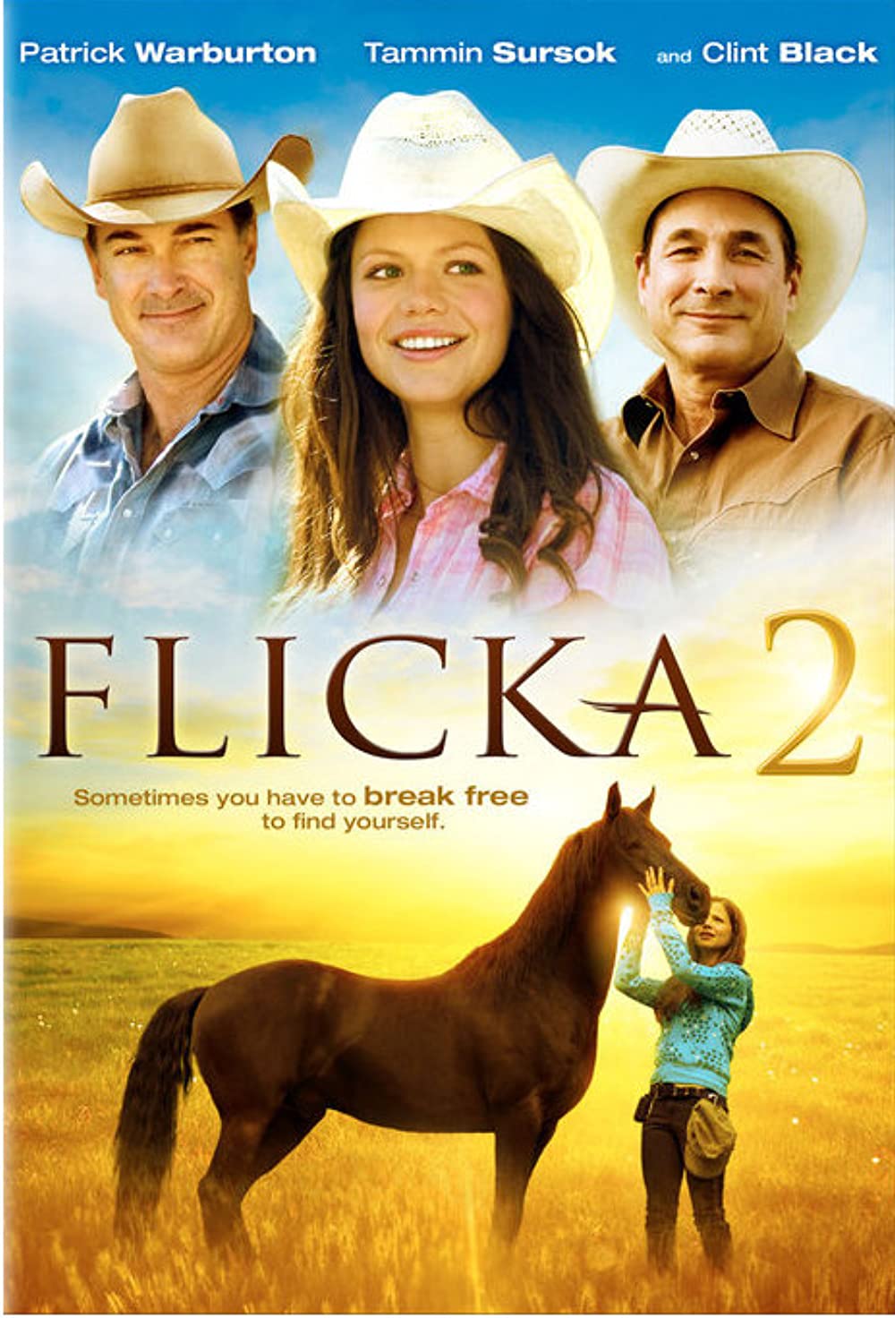 Filmbeschreibung zu Flicka 2 - Freunde fürs Leben