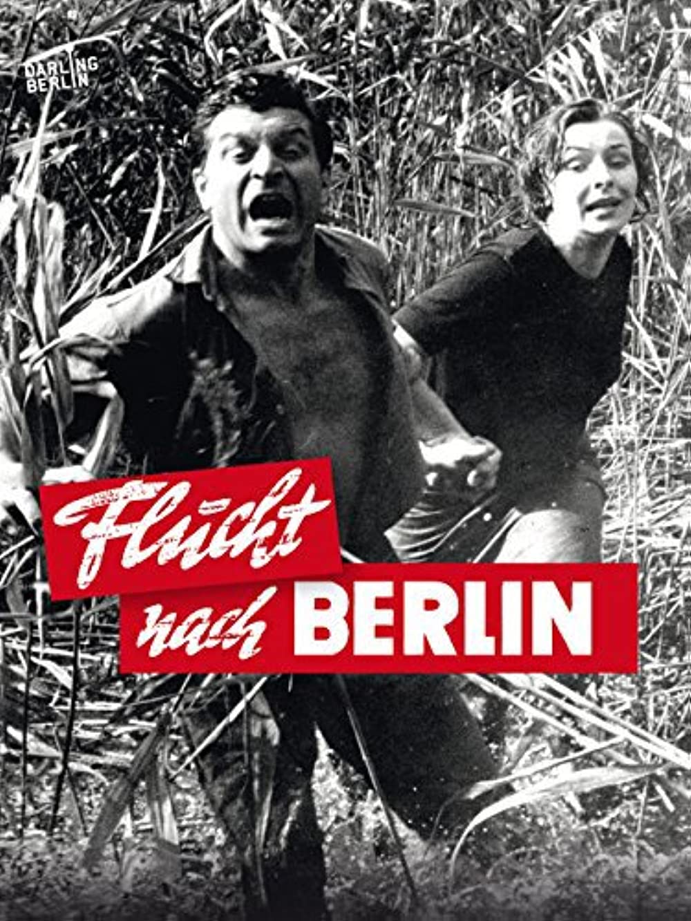 Filmbeschreibung zu Flucht nach Berlin