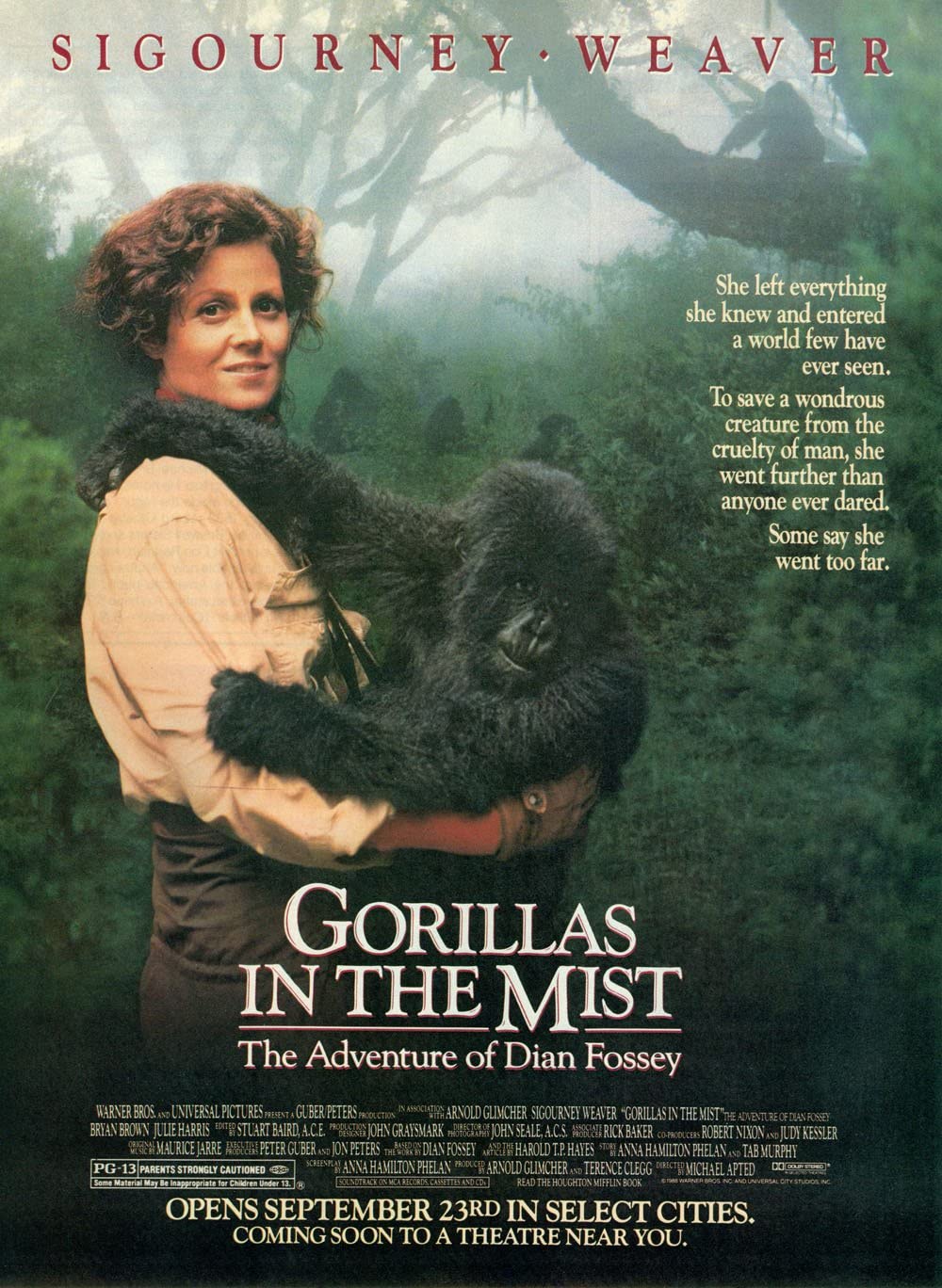 Filmbeschreibung zu Gorillas im Nebel