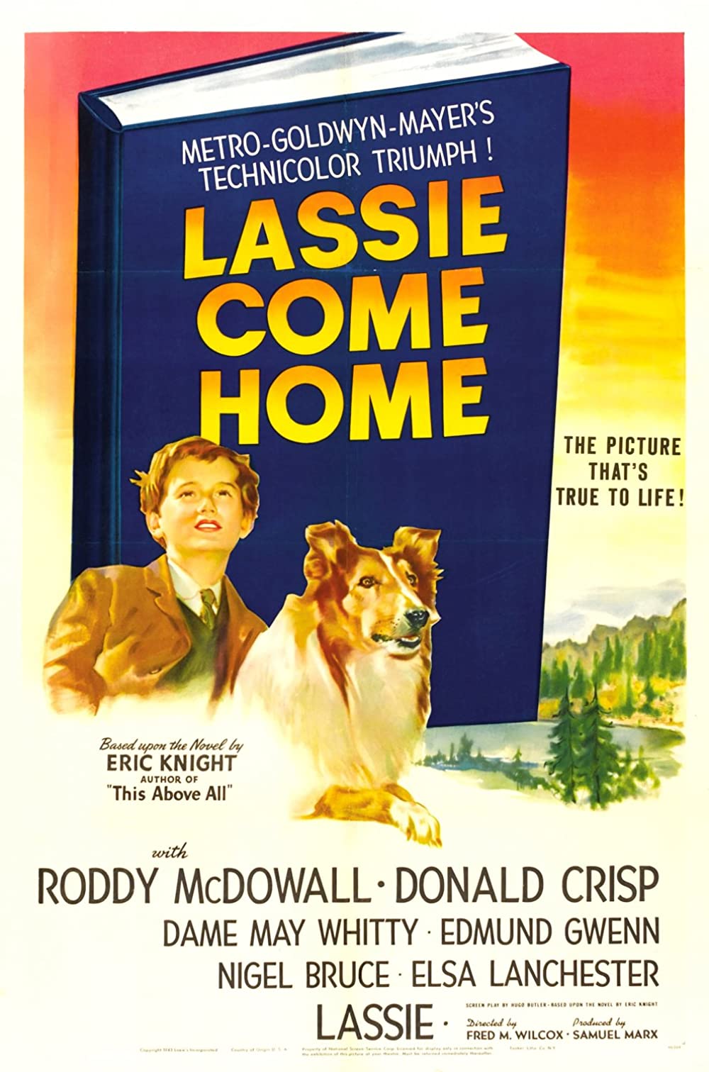 Filmbeschreibung zu Lassie Come Home