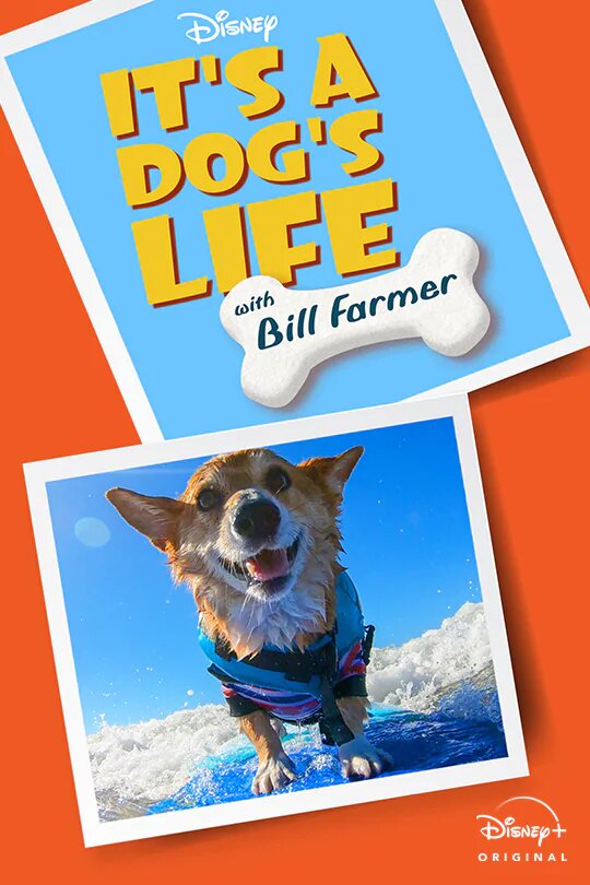Ein Hundeleben mit Bill Farmer