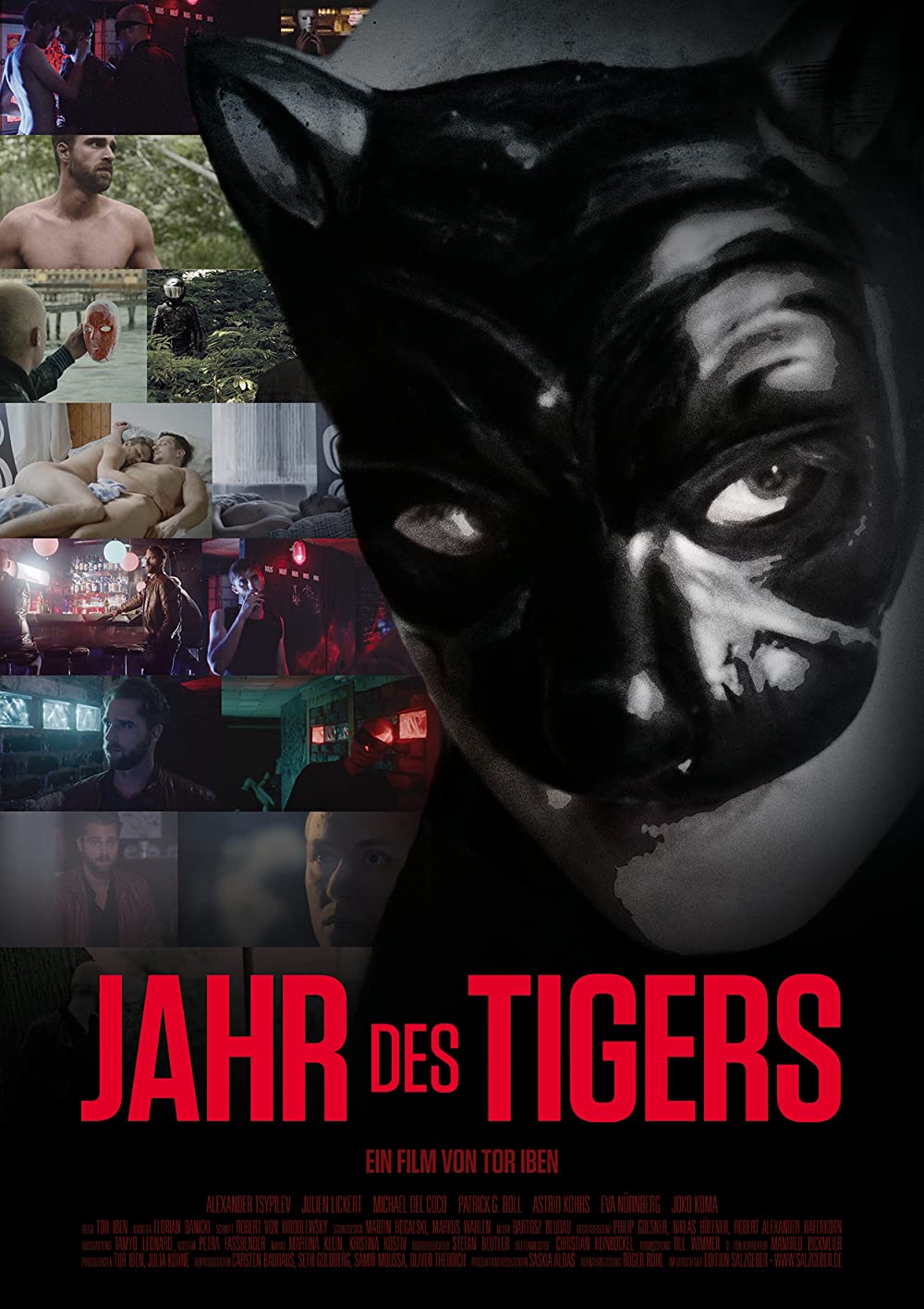 Filmbeschreibung zu Jahr des Tigers