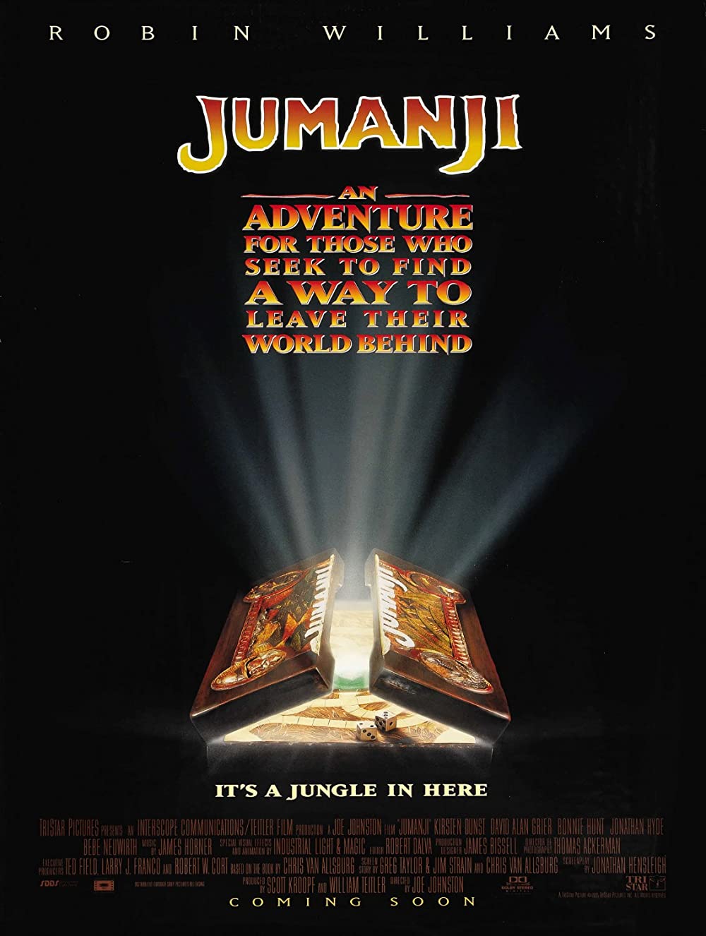 Filmbeschreibung zu Jumanji (1995)