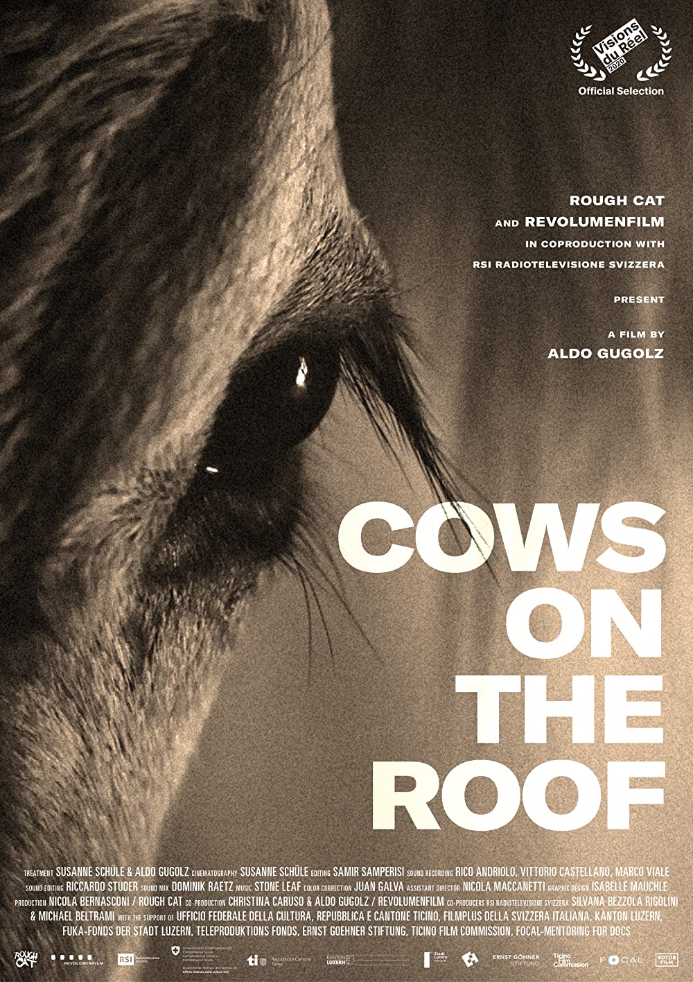 Kühe auf dem Dach