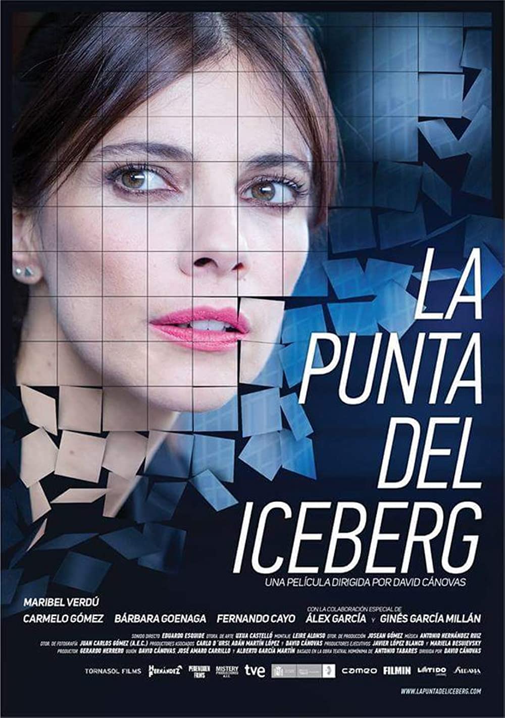 Filmbeschreibung zu La punta del iceberg