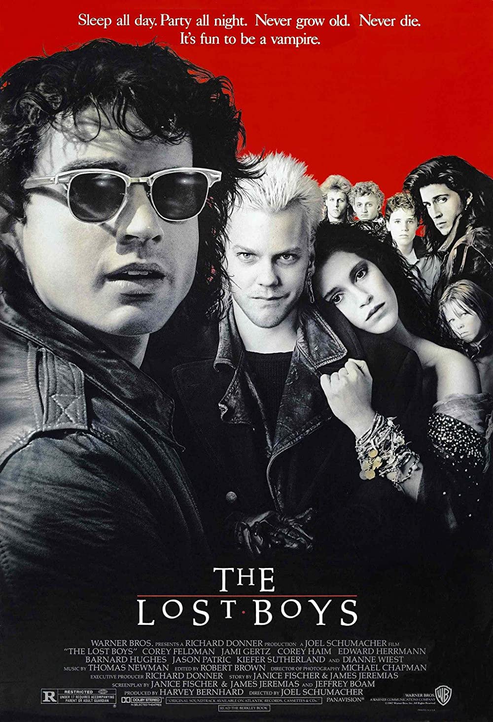 Filmbeschreibung zu Lost Boys