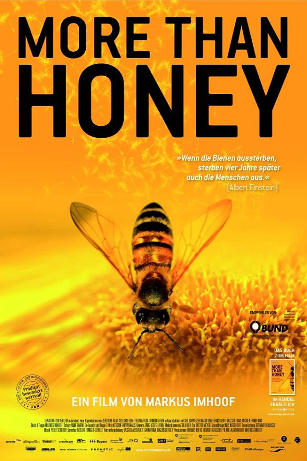 Filmbeschreibung zu More than Honey (OV)
