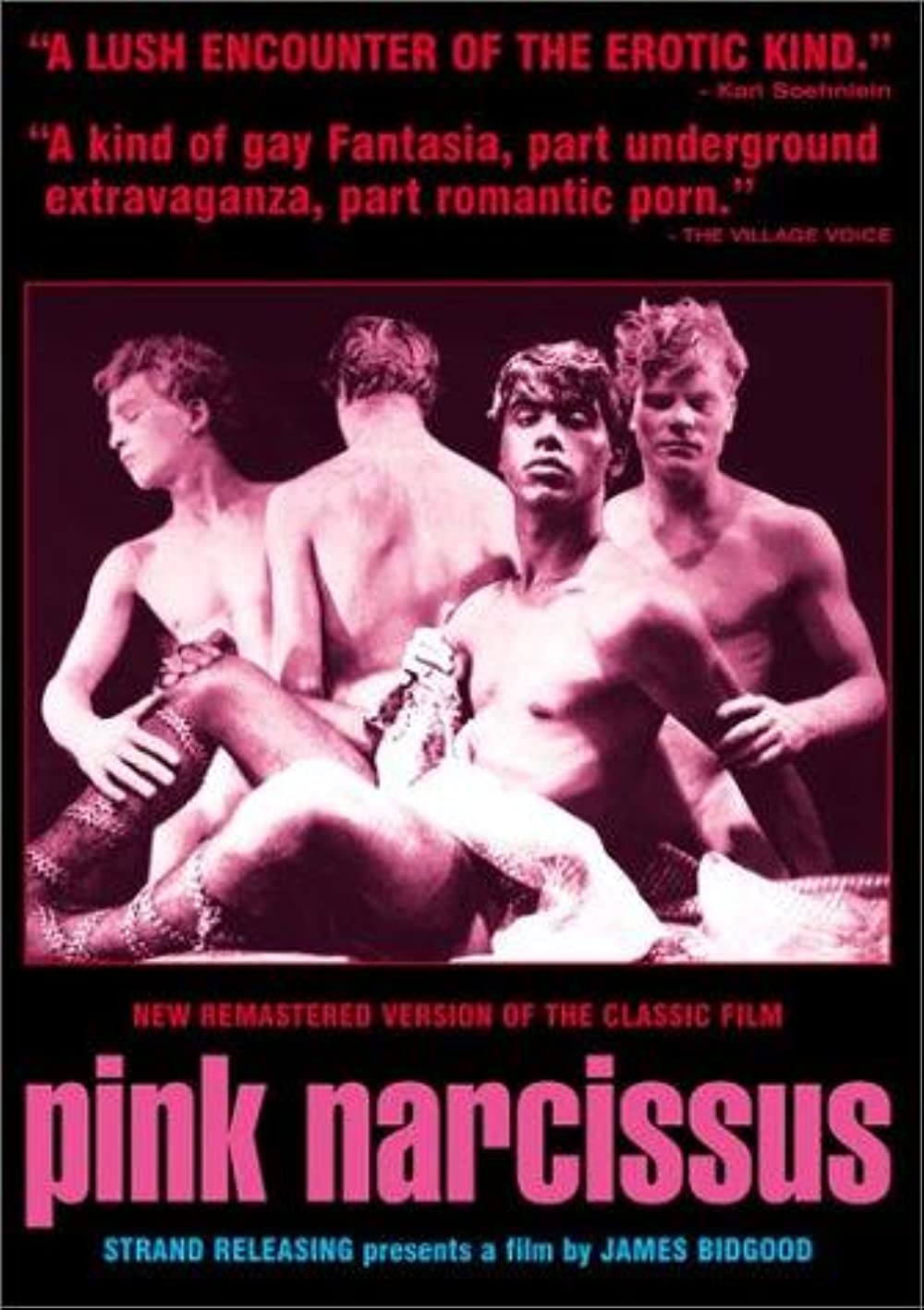 Filmbeschreibung zu Pink Narcissus