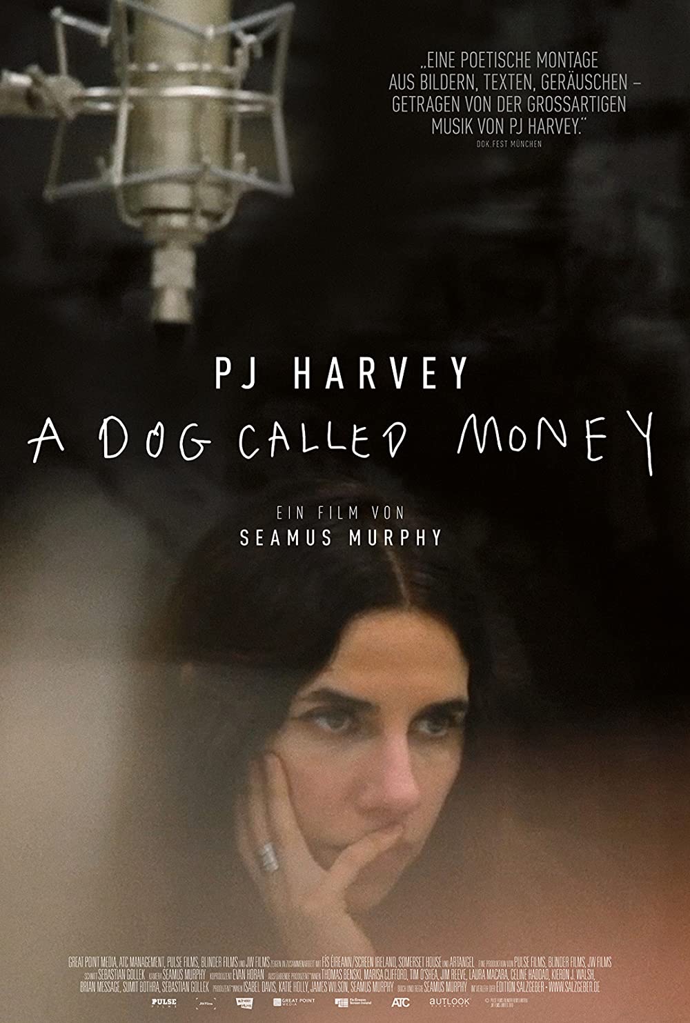 Filmbeschreibung zu PJ Harvey - A Dog called Money