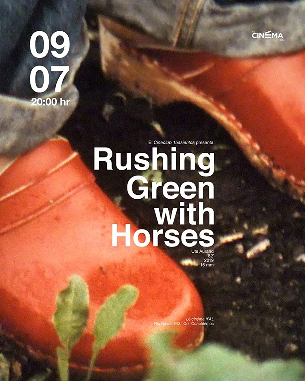 Filmbeschreibung zu Rasendes Grün mit Pferden