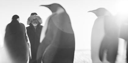 Rückkehr zum Land der Pinguine (OV)