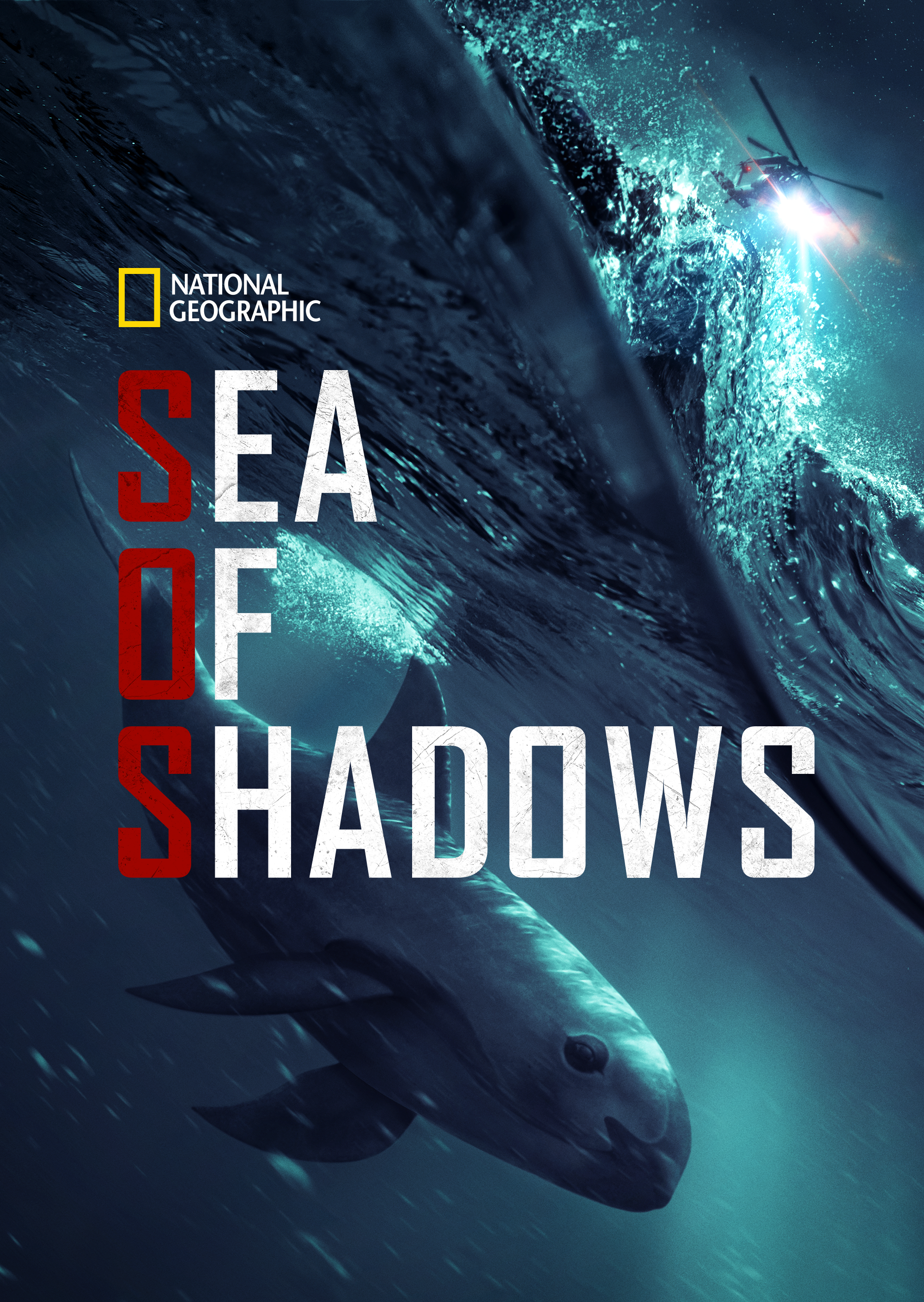 Sea of Shadows 2019