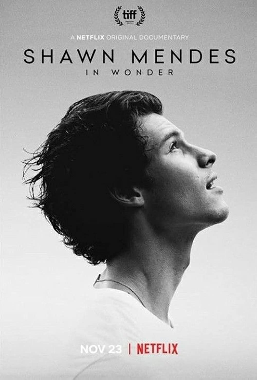 Filmbeschreibung zu Shawn Mendes: In Wonder