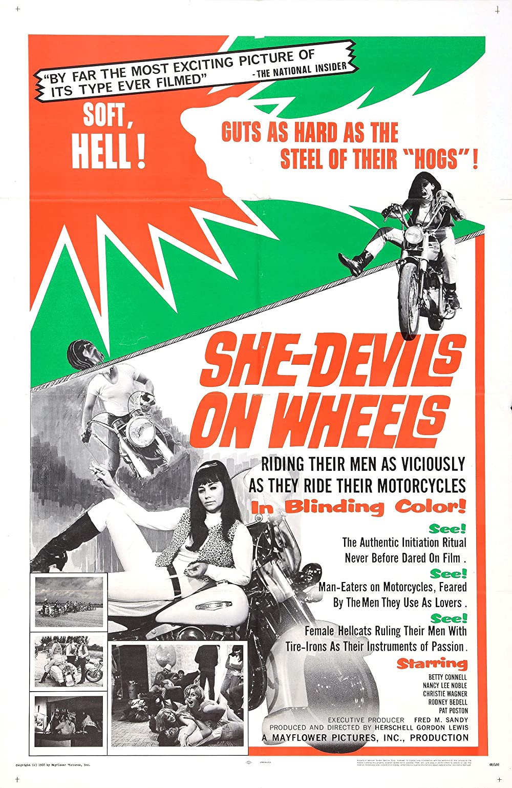 Filmbeschreibung zu She-Devils on Wheels