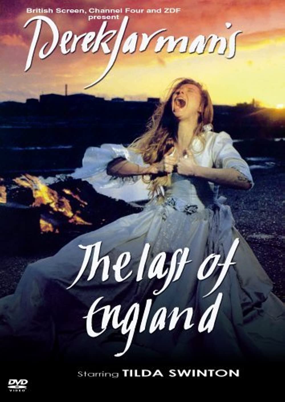 Filmbeschreibung zu The Last of England (OV)