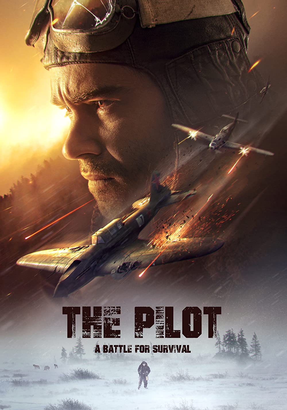 The Pilot - A Battle for Survival (OV)